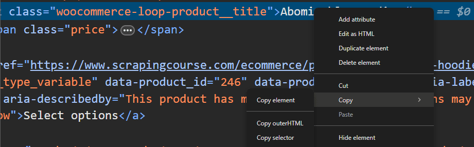 CSS Selector