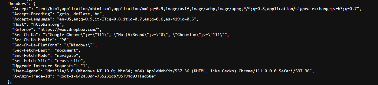 Chrome on Windows HTTP Headers