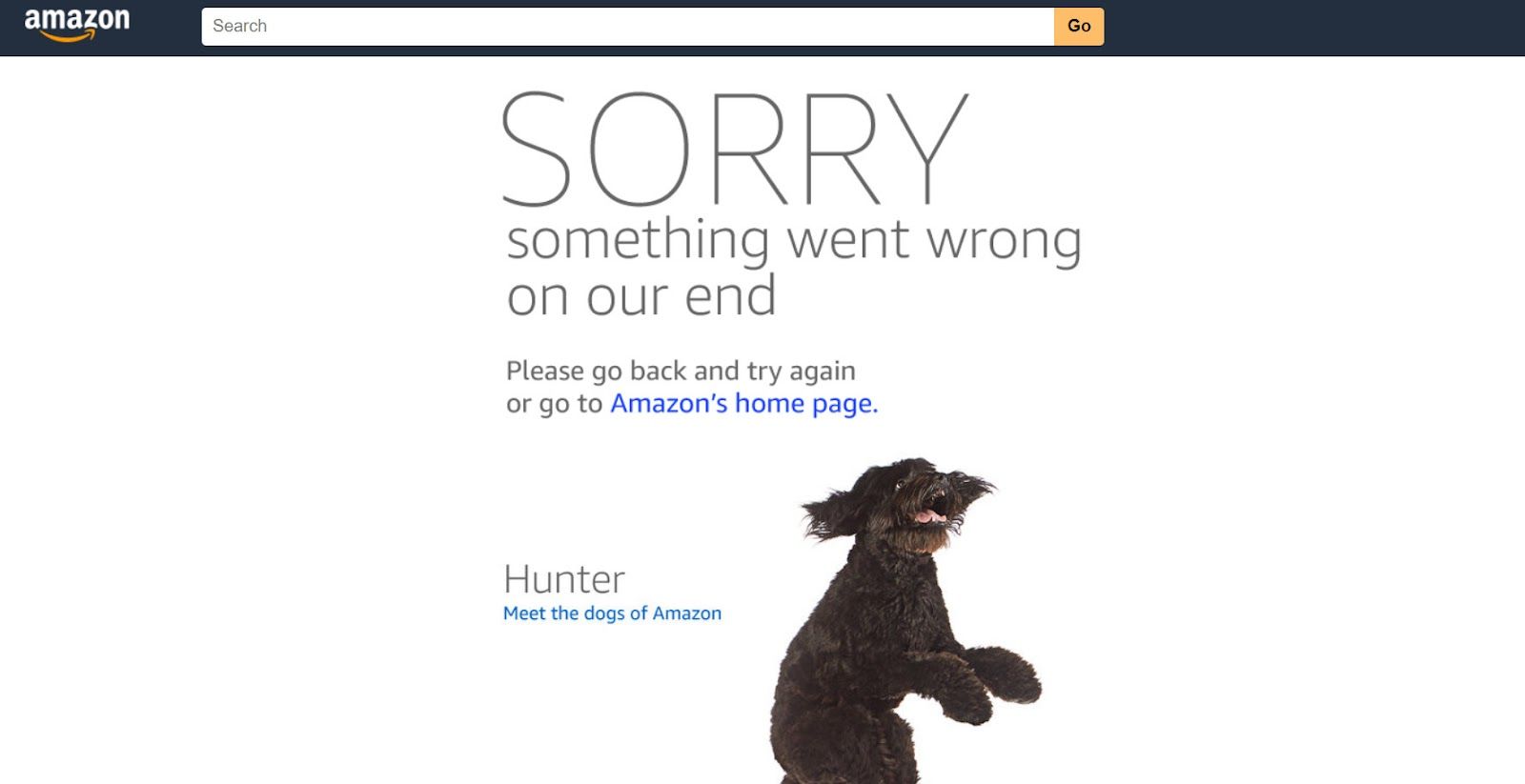 Amazon blocked page demo