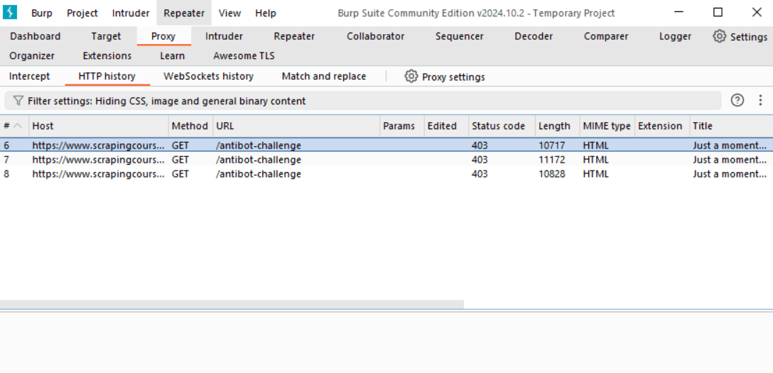 Burp Suite Request History