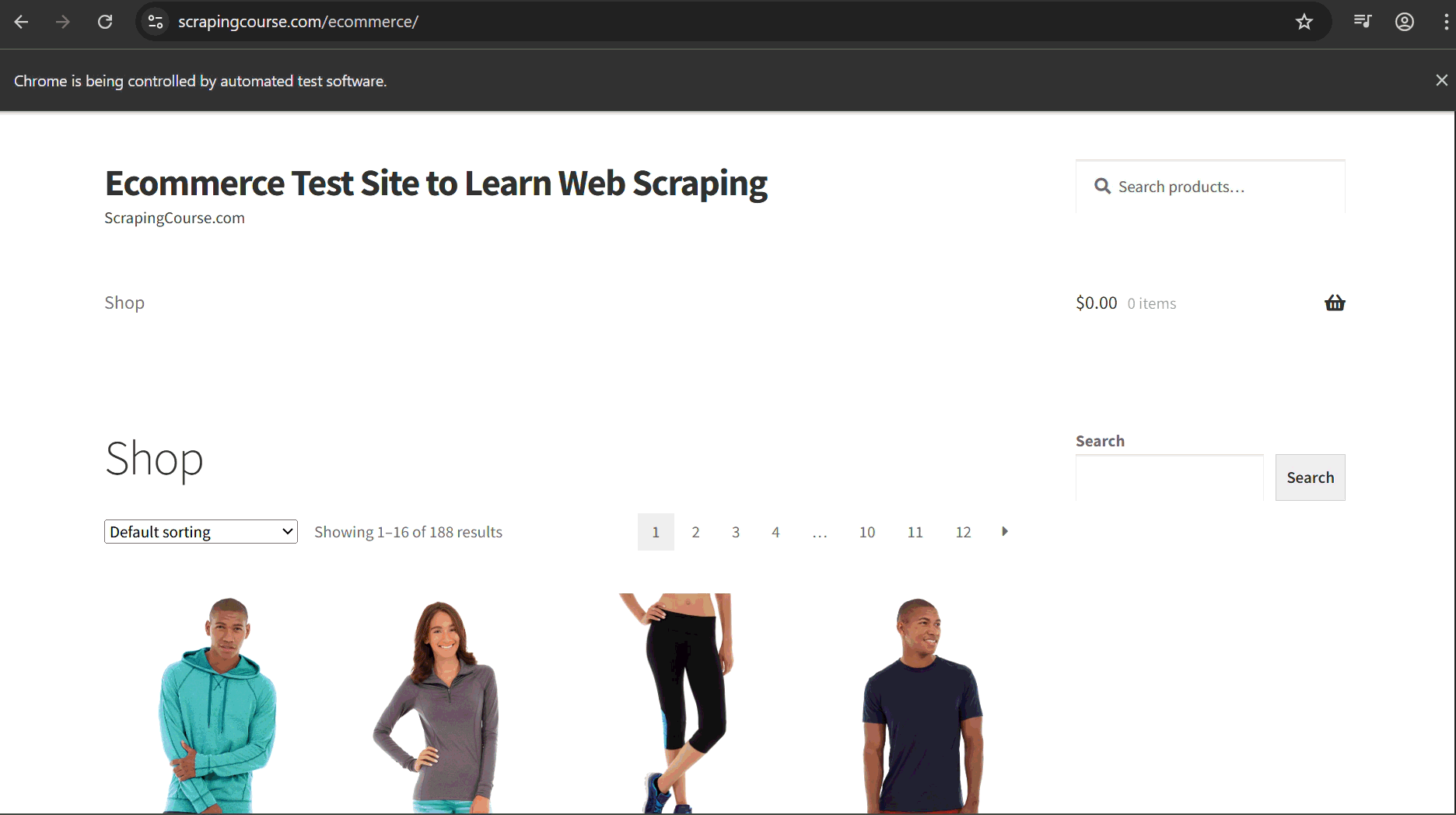 HumanCursor scraping result.