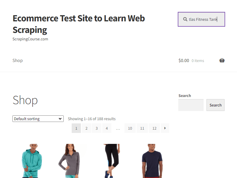 ScrapingCourse search term