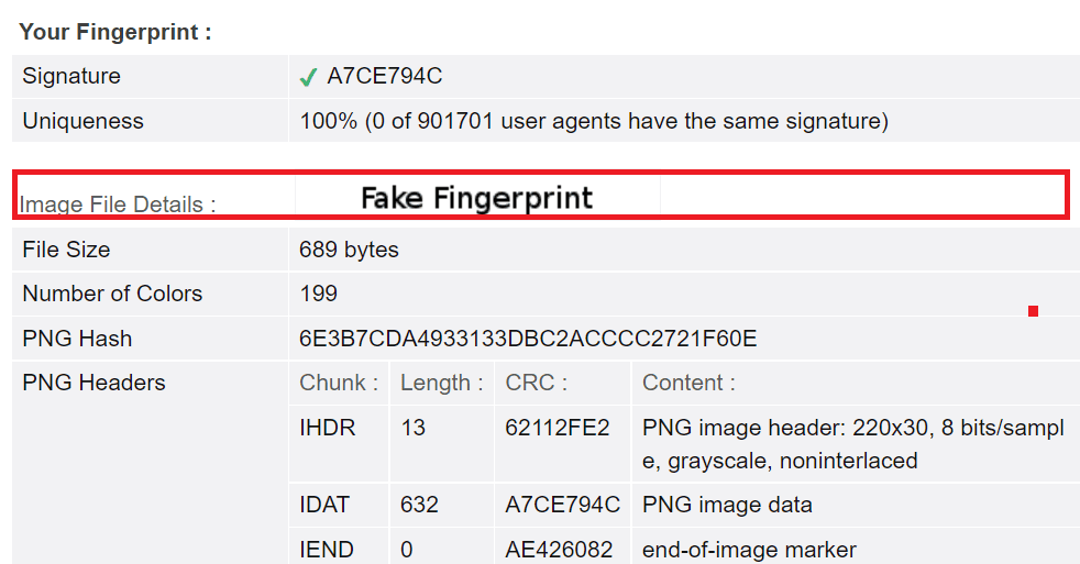 Fake Fingerprint