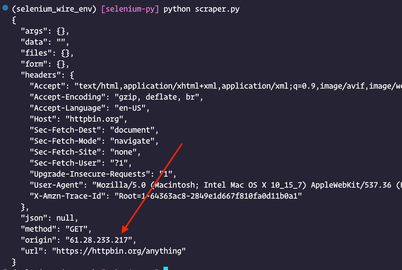 Selenium Wire Proxy